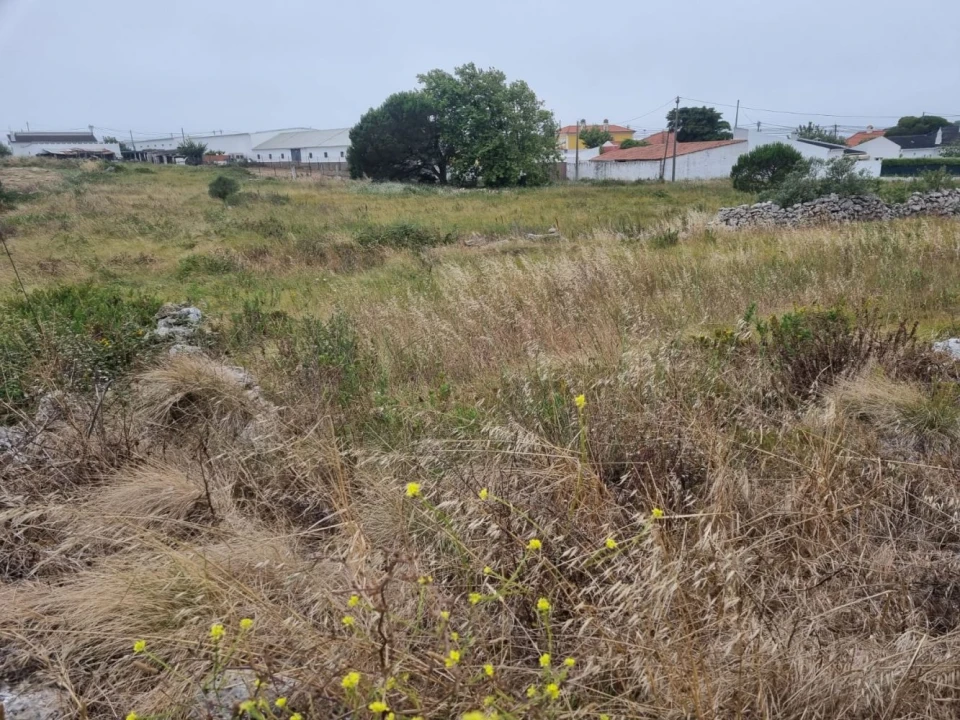 Terreno para Venda em São João das Lampas e Terrugem Foto 5