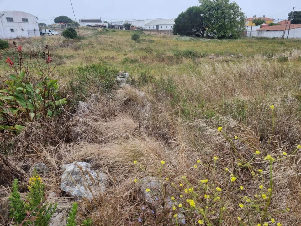 Terreno para Venda em São João das Lampas e Terrugem Foto 6