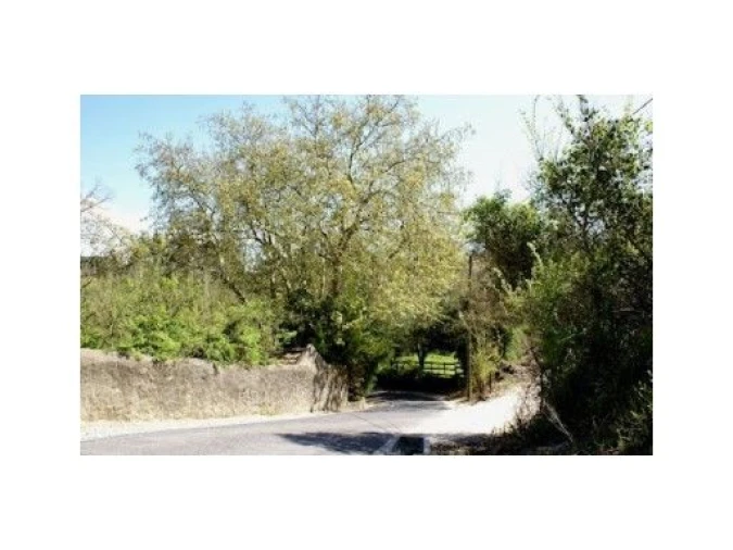 Terreno para Venda em Ericeira Foto 5