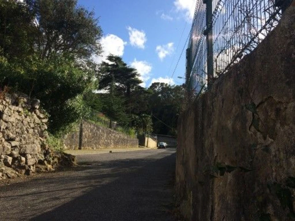 Terreno para Venda em Ericeira Foto 2