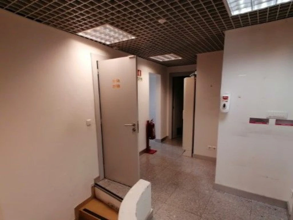 Loja para Venda em São Miguel do Rio Torto e Rossio Ao Sul do Tejo Foto 7