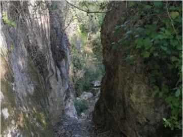 Terreno para Venda em São Vicente do Paul e Vale de Figueira