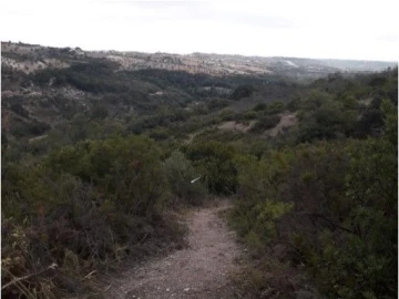 Terreno para Venda em São Vicente do Paul e Vale de Figueira