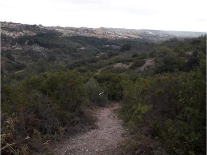 Terreno para Venda em São Vicente do Paul e Vale de Figueira Foto 5
