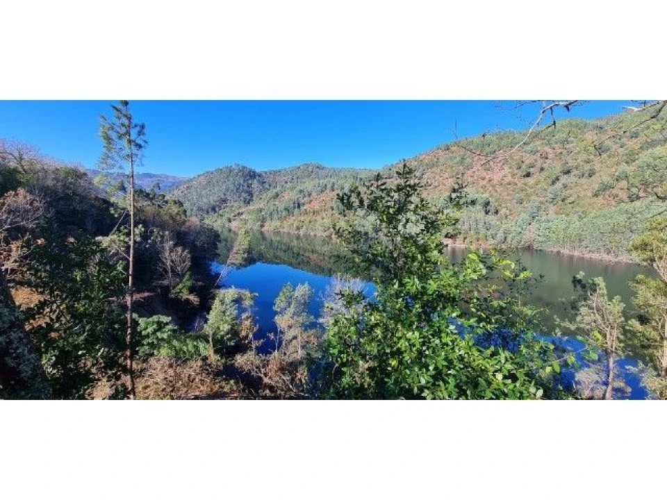 Quinta T9 para Venda em Ventosa e Cova Foto 45
