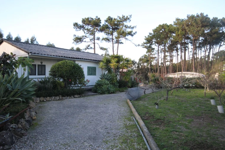 Terreno para Venda em São João das Lampas e Terrugem Foto 1