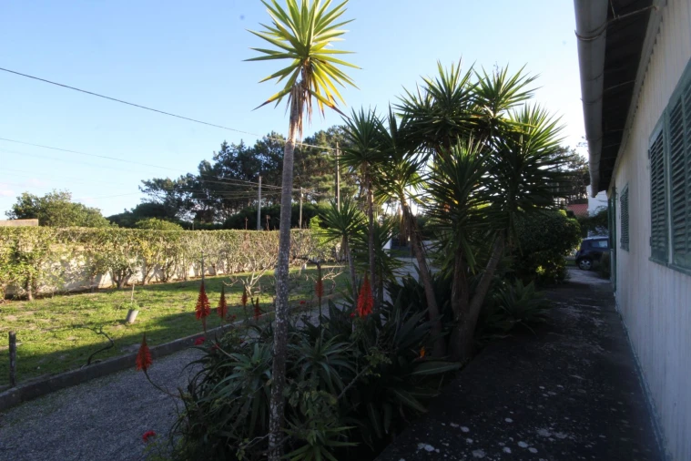 Terreno para Venda em São João das Lampas e Terrugem Foto 26