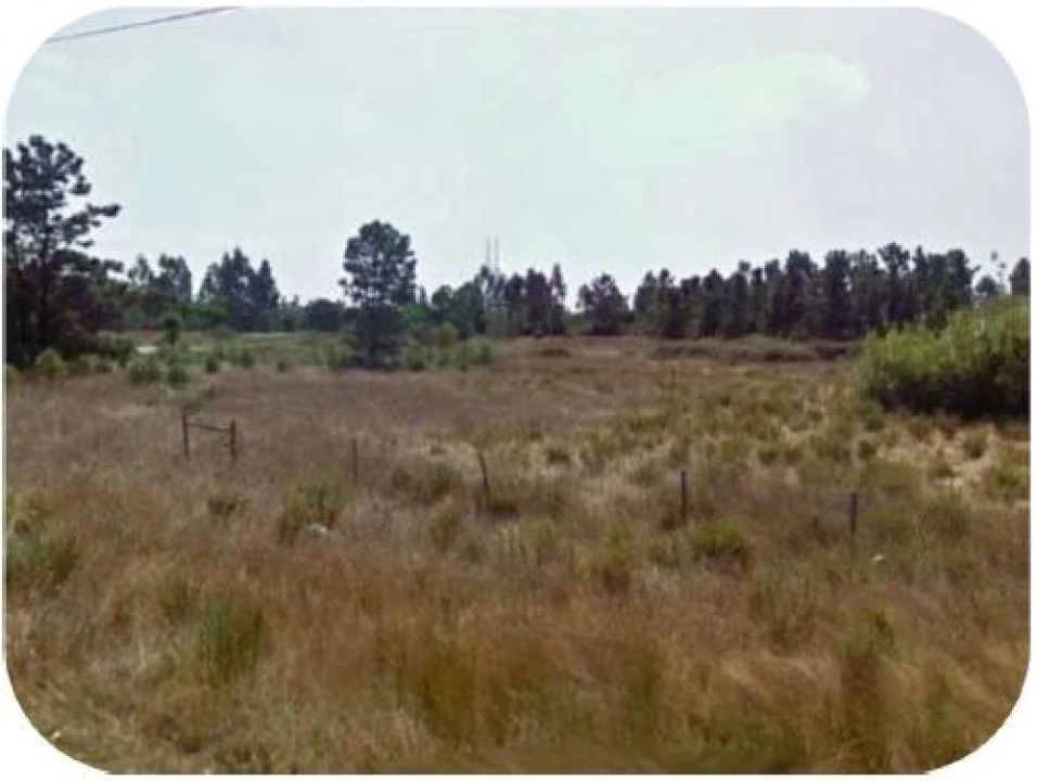 Terreno para Venda em Pegões Foto 4