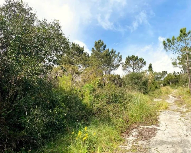 Terreno para Venda em Queluz e Belas Foto 7