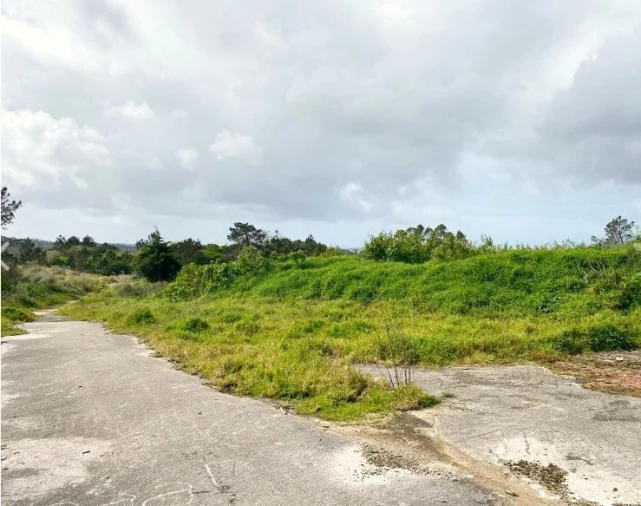 Terreno para Venda em Queluz e Belas Foto 12