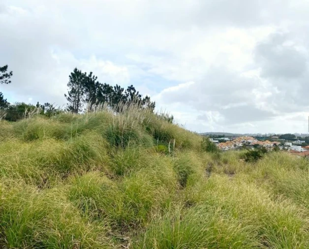 Terreno para Venda em Queluz e Belas Foto 15