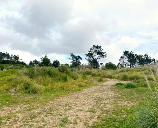 Terreno para Venda em Queluz e Belas Foto 14