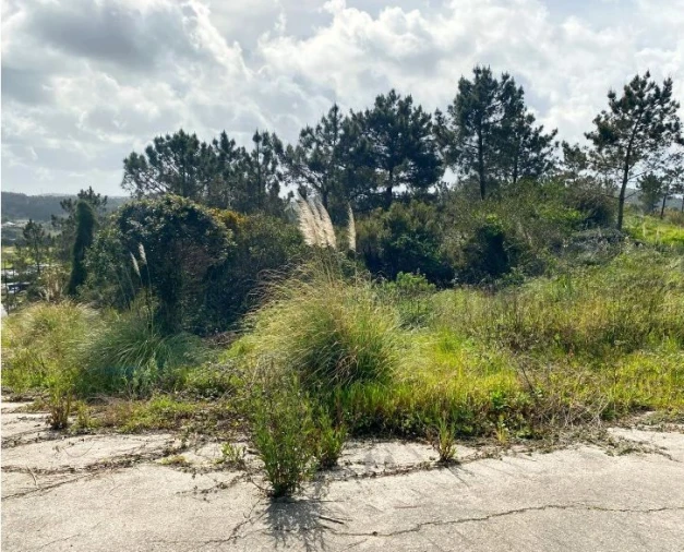 Terreno para Venda em Queluz e Belas Foto 9