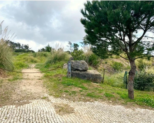 Terreno para Venda em Queluz e Belas Foto 13