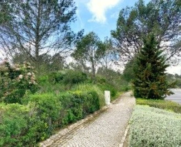 Terreno para Venda em Queluz e Belas Foto 17