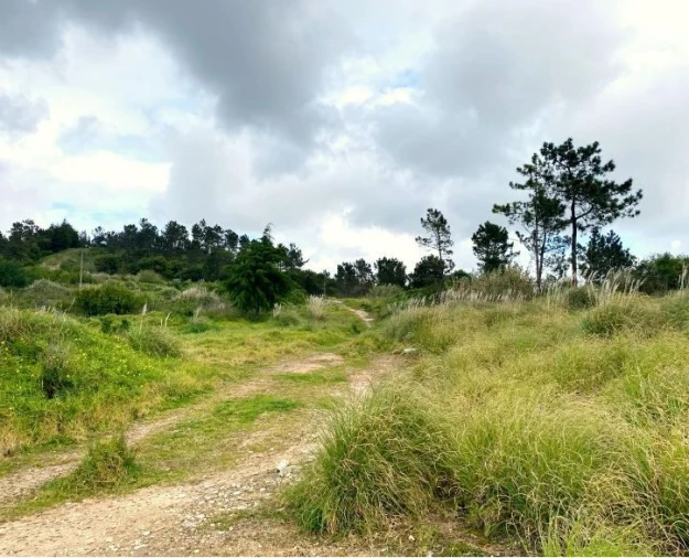 Terreno para Venda em Queluz e Belas Foto 16
