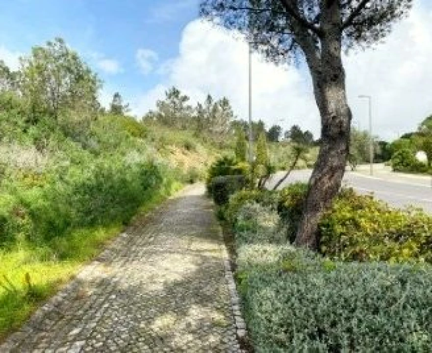 Terreno para Venda em Queluz e Belas Foto 18