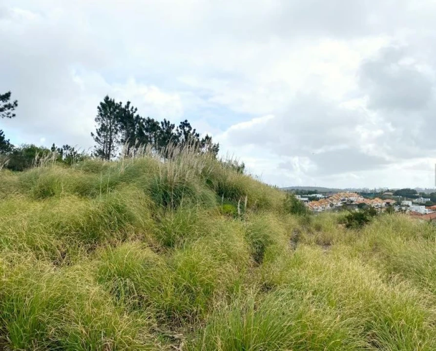 Terreno para Venda em Queluz e Belas Foto 15