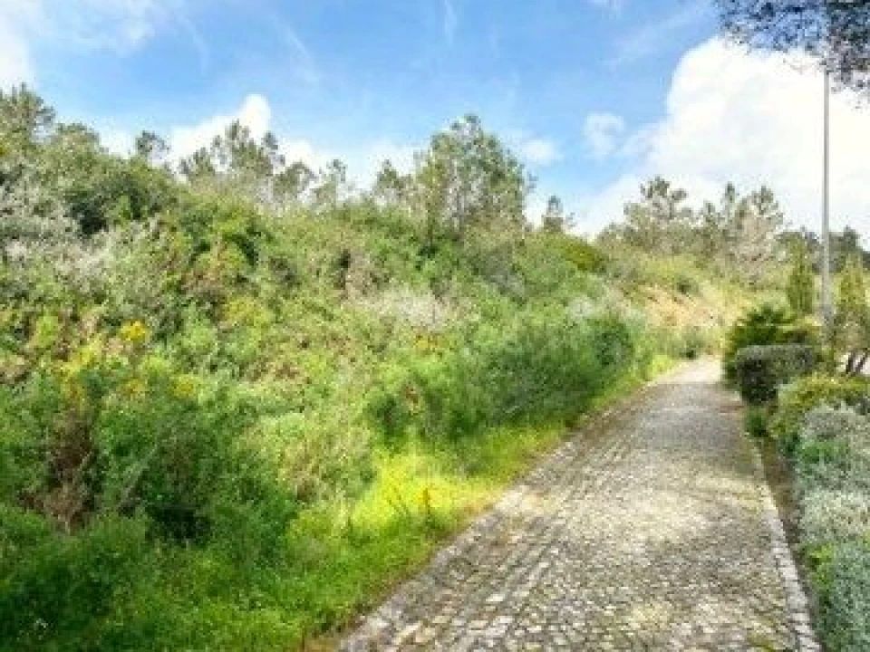 Terreno para Venda em Queluz e Belas Foto 5