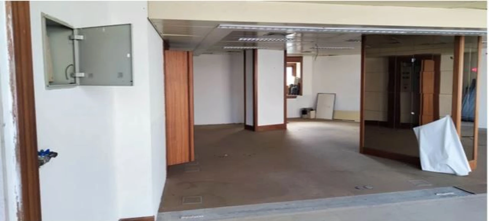 Loja para Venda em São Miguel do Rio Torto e Rossio Ao Sul do Tejo Foto 6