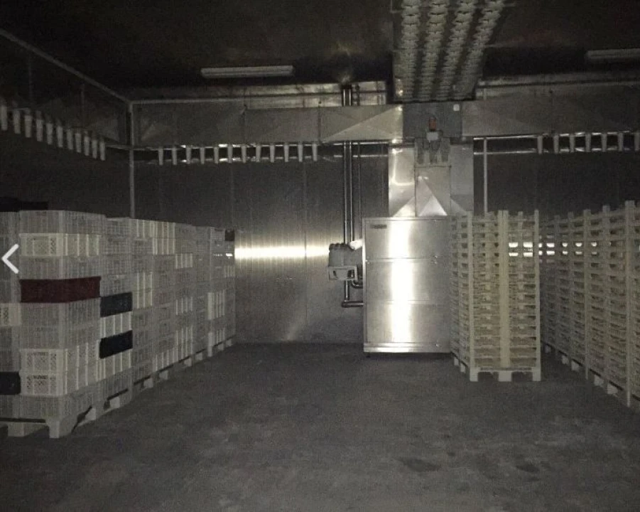 Loja para Venda em Idanha-A-Nova e Alcafozes Foto 6