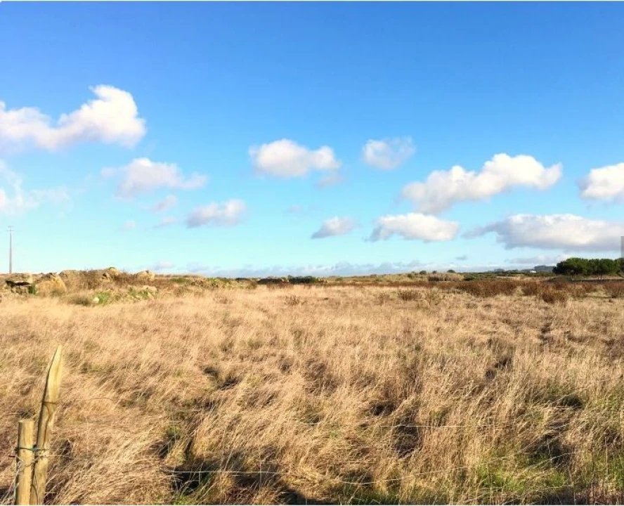 Terreno para Venda em São João das Lampas e Terrugem Foto 1