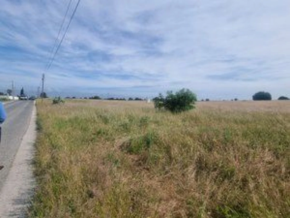 Terreno para Venda em Poceirão e Marateca Foto 6