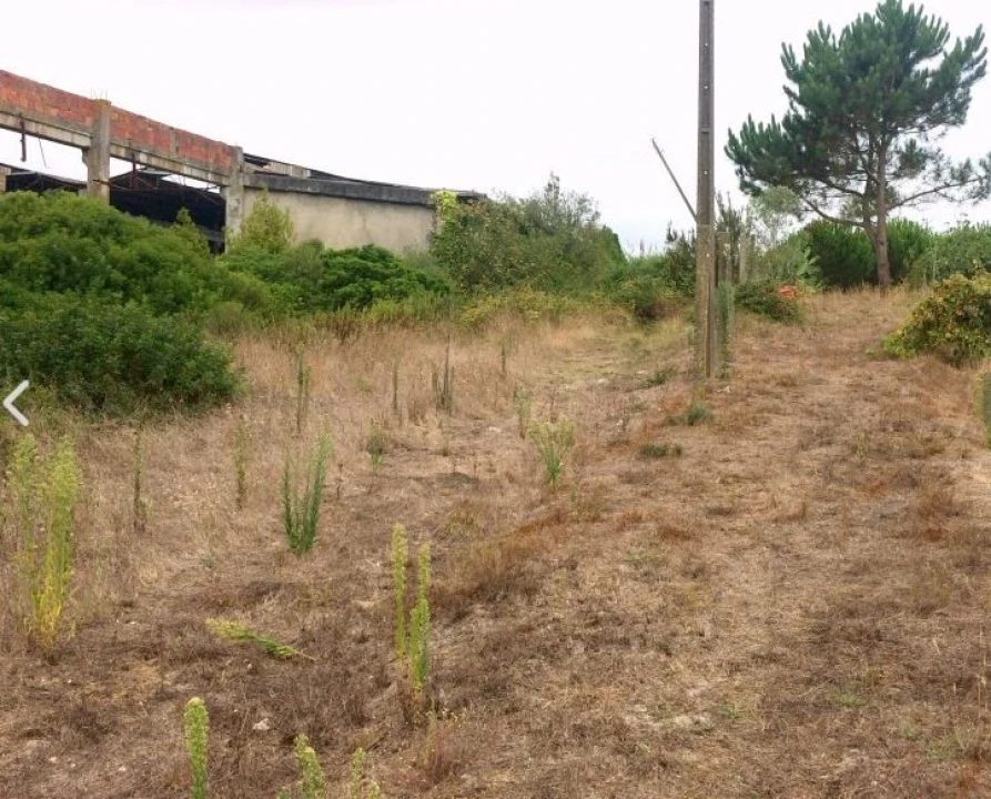 Terreno para Venda em Tornada e Salir do Porto Foto 1