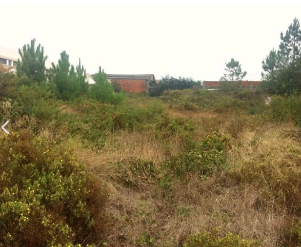 Terreno para Venda em Tornada e Salir do Porto Foto 3