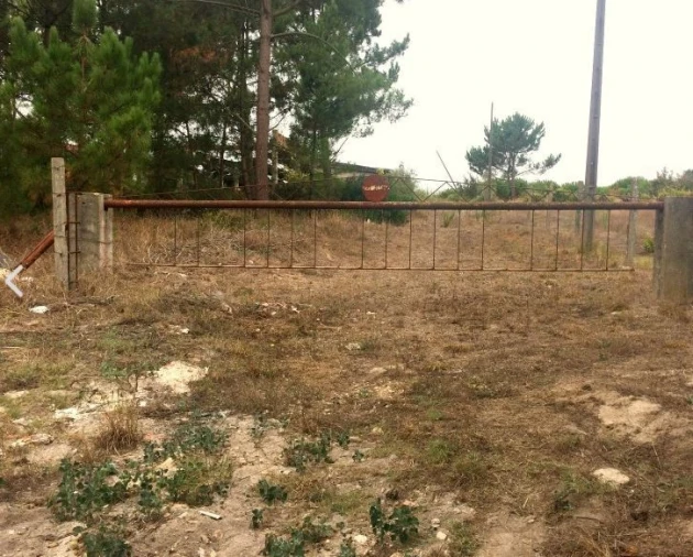 Terreno para Venda em Tornada e Salir do Porto Foto 15