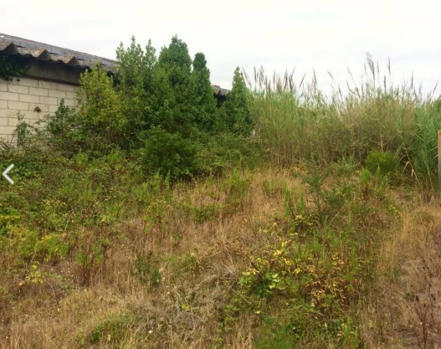Terreno para Venda em Tornada e Salir do Porto Foto 10