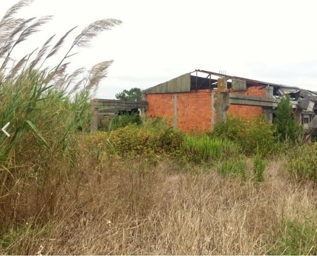 Terreno para Venda em Tornada e Salir do Porto Foto 2