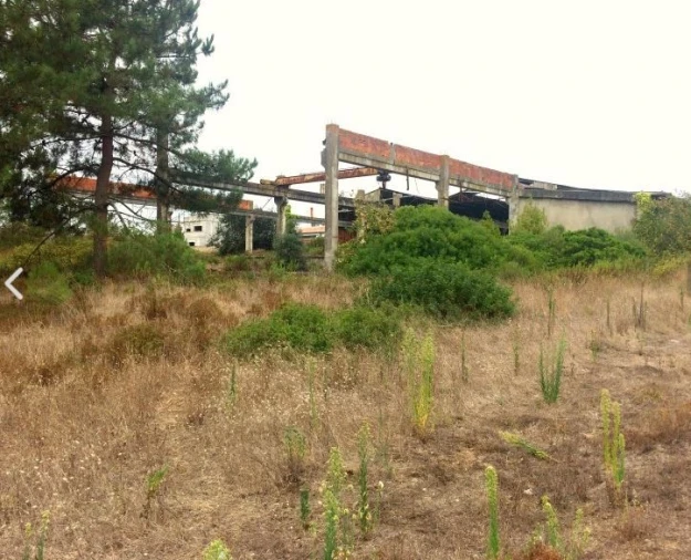 Terreno para Venda em Tornada e Salir do Porto Foto 5