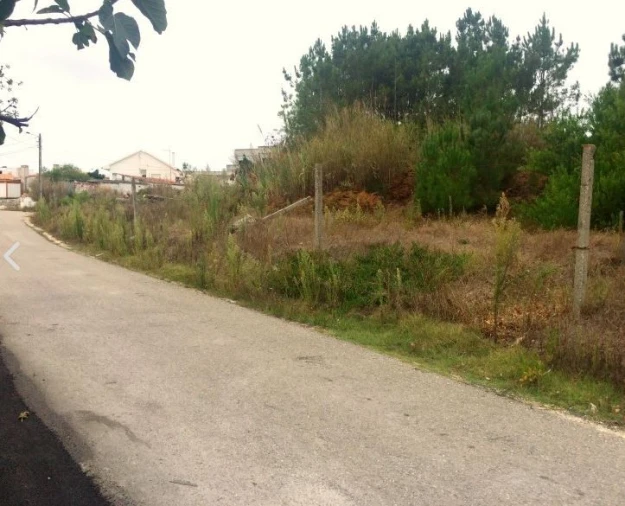 Terreno para Venda em Tornada e Salir do Porto Foto 14