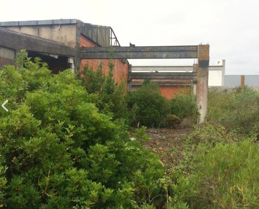 Terreno para Venda em Tornada e Salir do Porto Foto 6