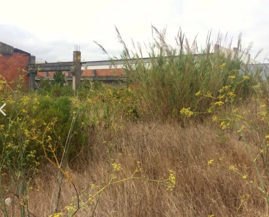 Terreno para Venda em Tornada e Salir do Porto Foto 4