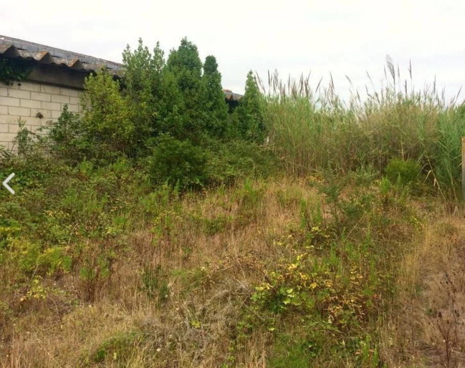 Terreno para Venda em Tornada e Salir do Porto Foto 10