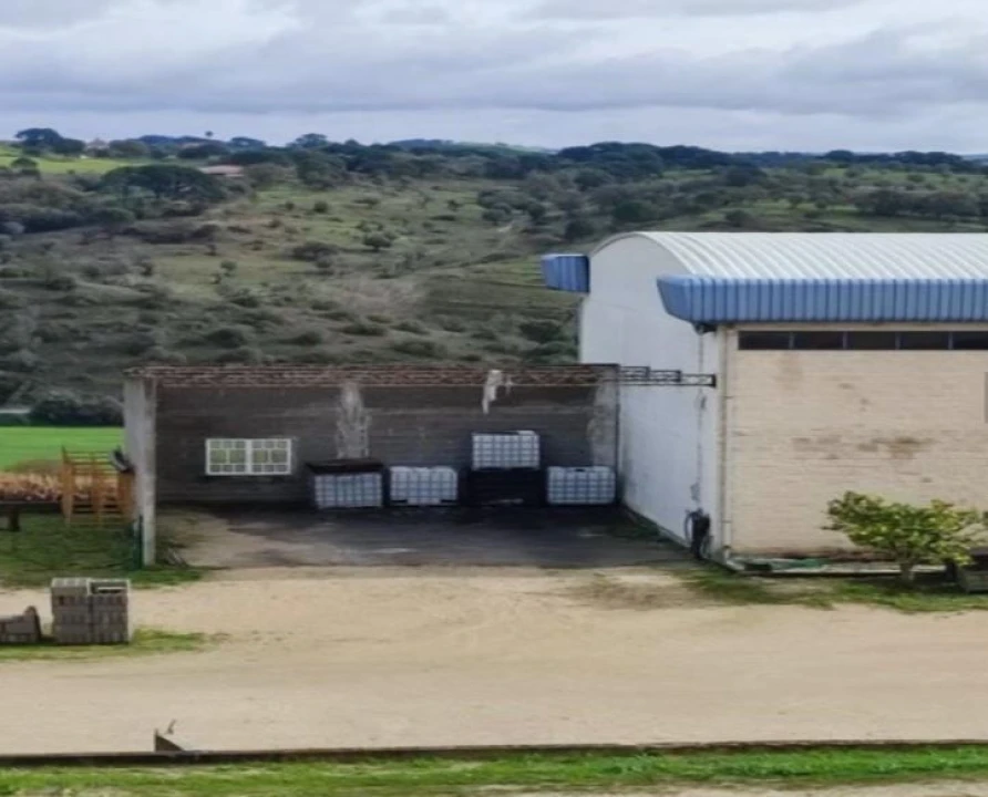 Loja para Venda em Torres Novas (São Pedro), Lapas e Ribeira Branca Foto 1