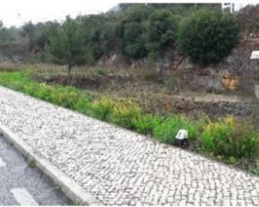 Terreno para Venda em Minde Foto 4