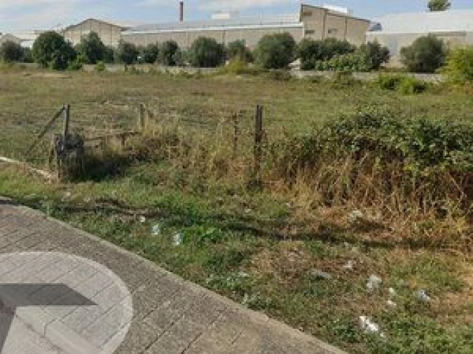 Terreno para Venda em São Miguel do Rio Torto e Rossio Ao Sul do Tejo Foto 4