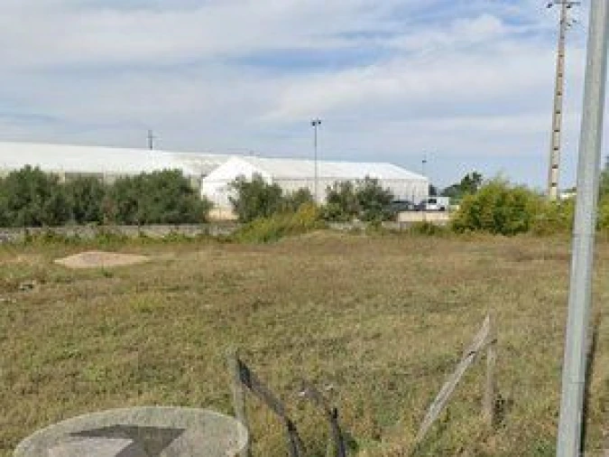 Terreno para Venda em São Miguel do Rio Torto e Rossio Ao Sul do Tejo Foto 3