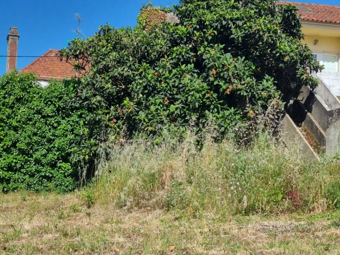 Moradia T0 para Venda em Vimeiro Foto 6