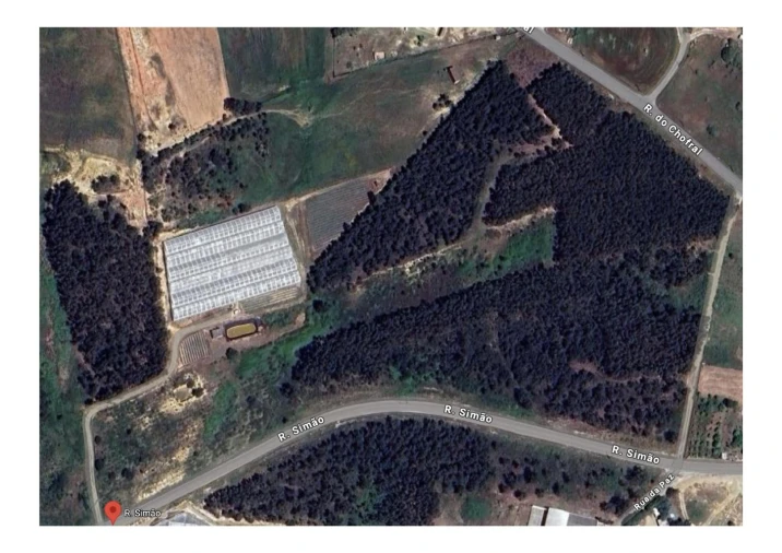 Terreno para Venda em A dos Cunhados e Maceira Foto 10