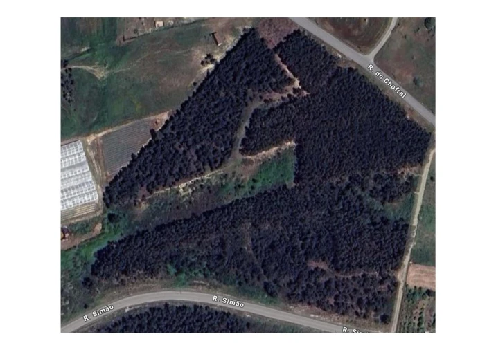 Terreno para Venda em A dos Cunhados e Maceira Foto 12