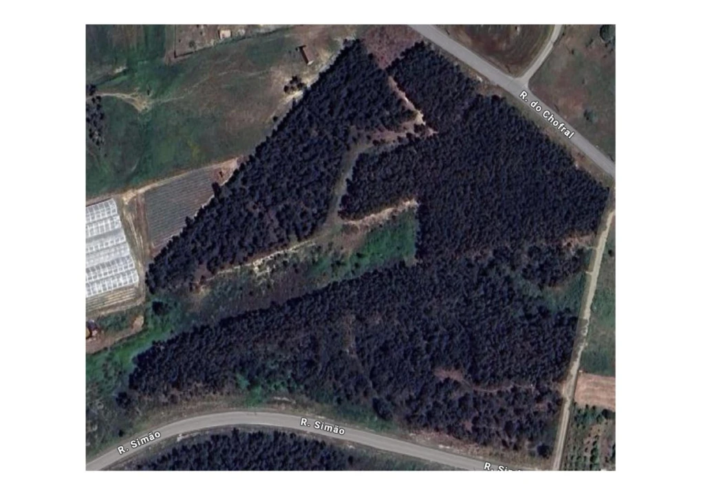 Terreno para Venda em A dos Cunhados e Maceira Foto 12