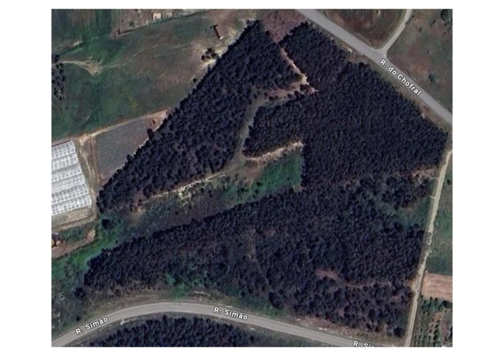 Terreno para Venda em A dos Cunhados e Maceira Foto 10