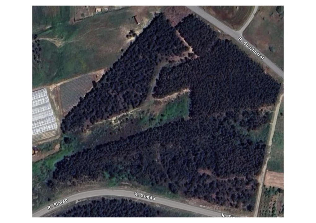 Terreno para Venda em A dos Cunhados e Maceira Foto 10