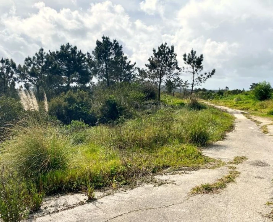 Terreno para Venda em Queluz e Belas Foto 12