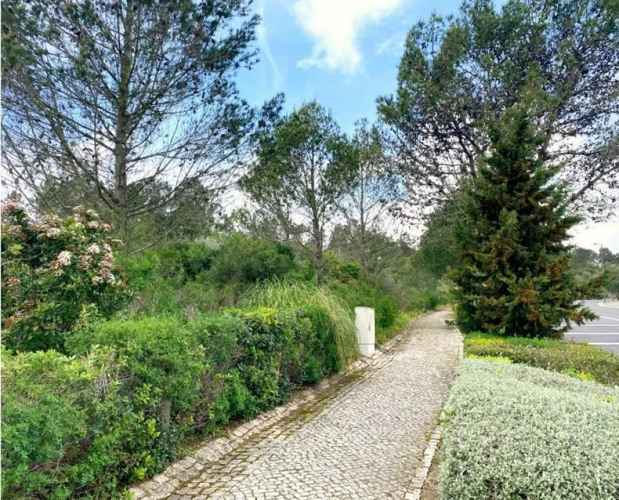 Terreno para Venda em Queluz e Belas Foto 4