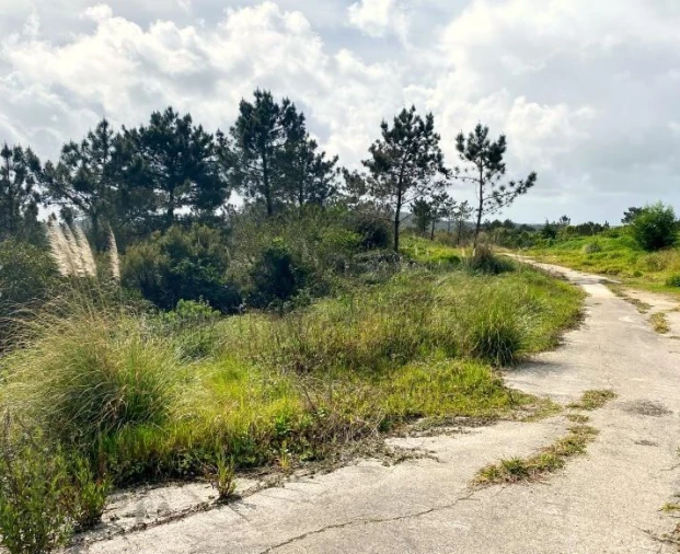 Terreno para Venda em Queluz e Belas Foto 12